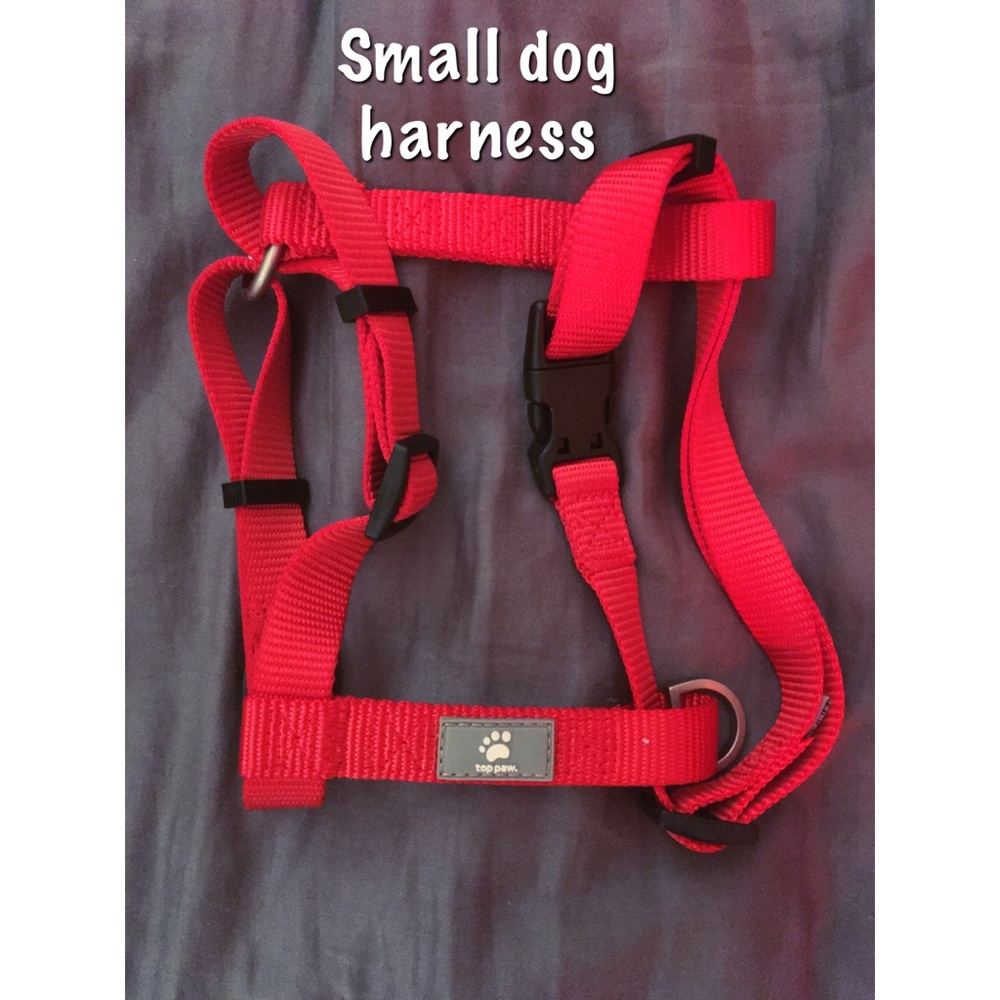 Small dog harness